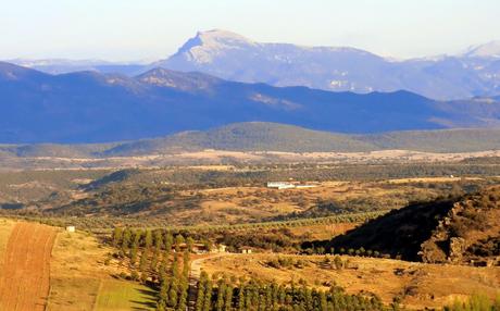 desde terrinches la zona de pinos es la ermita de San Isidro de terrinches. Autora, Mariangeles Minguez Gomez