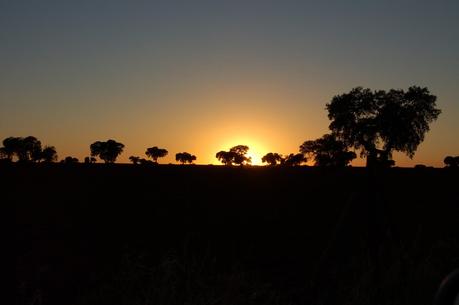 Puesta de sol en el Campo de Montiel