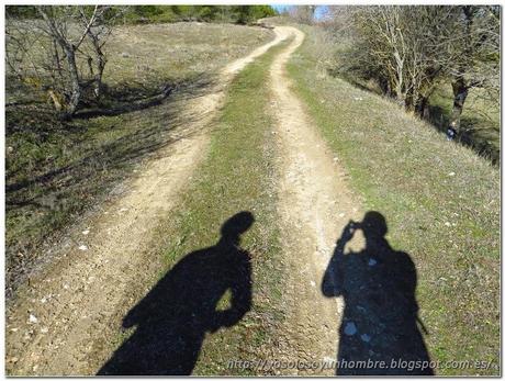 foto de las sombras en el camino
