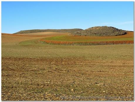 Campos de cultivo de la Mancha