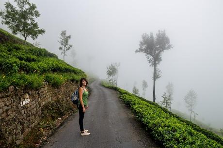 Caminando hacia la niebla, Haputale