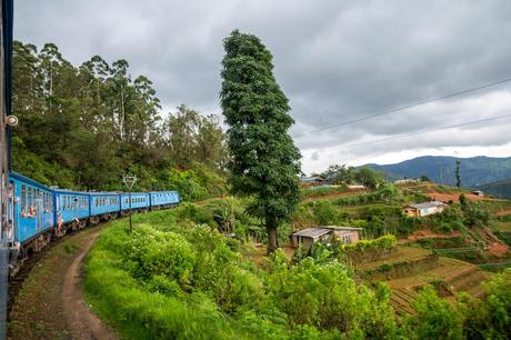 Tren entre montes y montañas