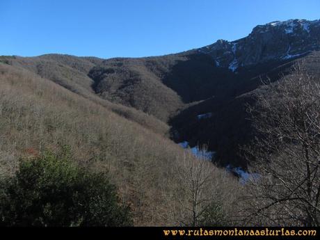 Ruta Tarna, Pico Mosquito y Pareu: Bosque en la zona de Tarna