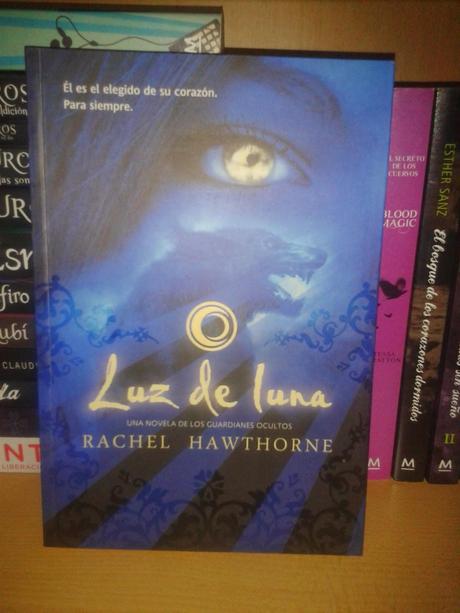 Book Tag: En busca del libro perdido