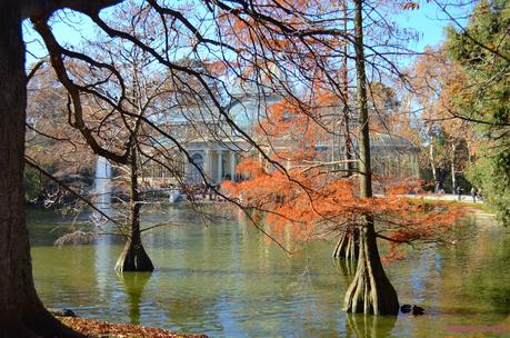 Rincones. El Palacio de Cristal de Madrid