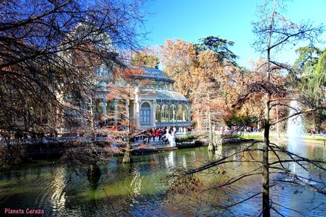 Rincones. El Palacio de Cristal de Madrid