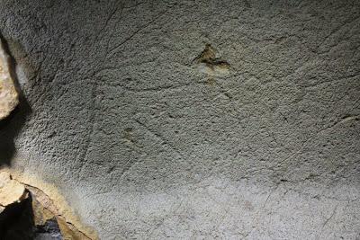 Descubren nuevas muestras de arte rupestre paleolítico en la cueva de Erlaitz (Guipúzcoa)