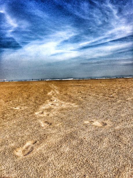 Querido cartel la mas bonita valencia