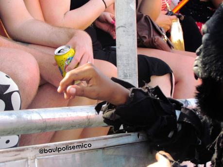 Si las manos hablaran... Si las manos hablaran...