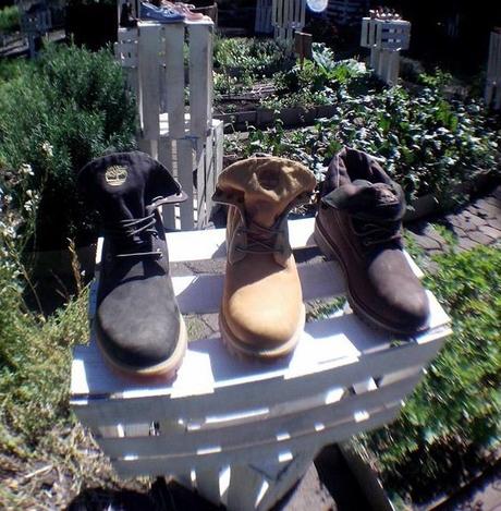 Colección P/V 15 By. TIMBERLAND 1977236_10202634312257852_9026624152291452154_n