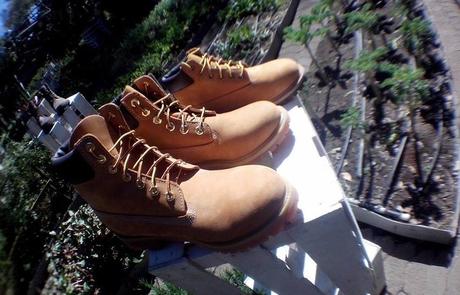 Colección P/V 15 By. TIMBERLAND 10629776_10202633809045272_7323630149510013245_n