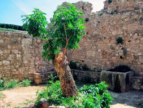Santes Creus, un remanso de paz Santes Creus, un remanso de paz