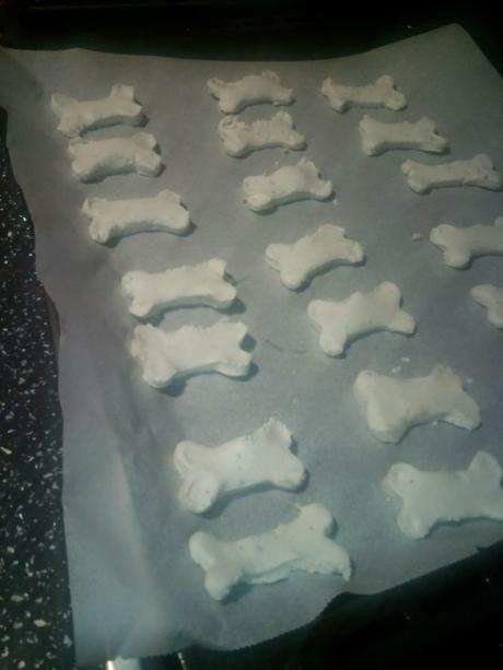 Galletas para perros Galletas para perros