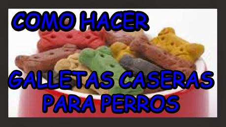 Galletas para perros Galletas para perros