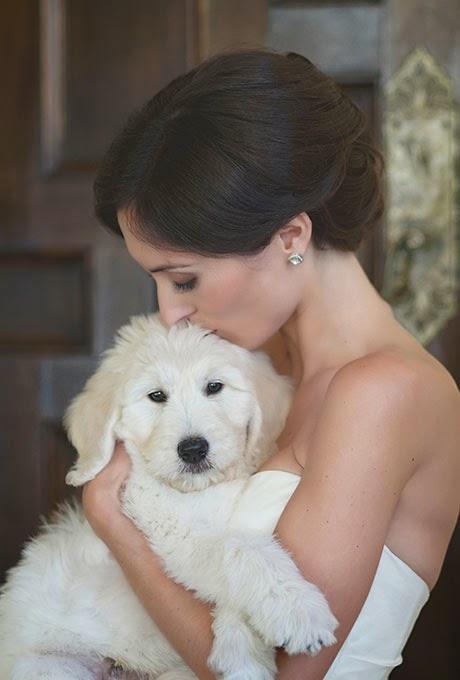 Las mascotas también van de boda