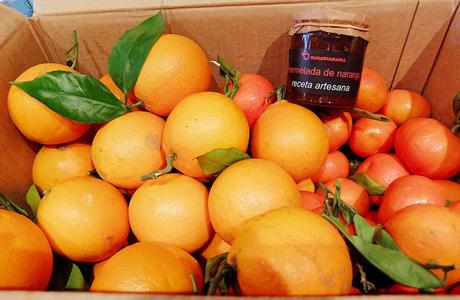 Naranjamanía DSCF2945