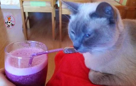 SMOOTHIES DE TÉ VERDE, COLA DE CABALLO, FRESAS, COL MORADA Y AVENA SMOOTHIES DE TÉ VERDE, COLA DE CABALLO, FRESAS, COL MORADA Y AVENA