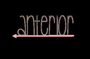 identificación de sonidos anterior