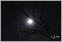 Y de testigo, la luna... Y de testigo, la luna...