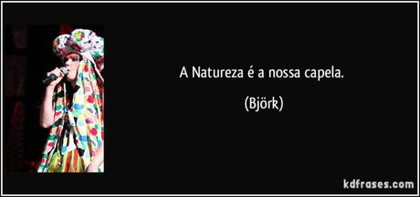 frase-a-natureza-e-a-nossa-capela-bjork-162294