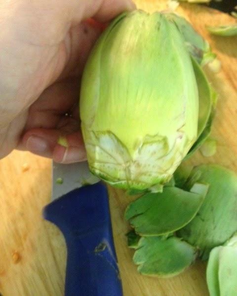 ALUBIAS CON SEPIAS Y ALCACHOFAS ALUBIAS CON SEPIAS Y ALCACHOFAS