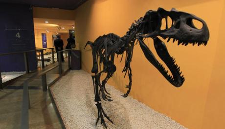Guía de museos gratuitos en Valencia hasta Semana Santa 1-museo-ciencias-naturales-valencia-noticias-totenart