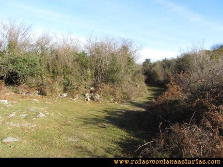 Ruta PR AS-46 Pico Mua: Bajando por una cómoda pista Ruta PR AS-46 Pico Mua: Bajando por una cómoda pista