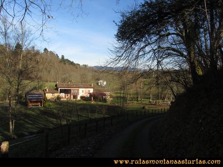 De Monte por Nava: Picos Múa (987 m.) y Casielles - PR AS-46 De Monte por Nava: Picos Múa (987 m.) y Casielles - PR AS-46