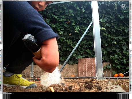 Pitas, Pitas, Pitas Pitas, Pitas, Pitas