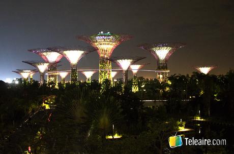 5 recomendaciones para disfrutar de Singapur 5 recomendaciones para disfrutar de Singapur 5 copia