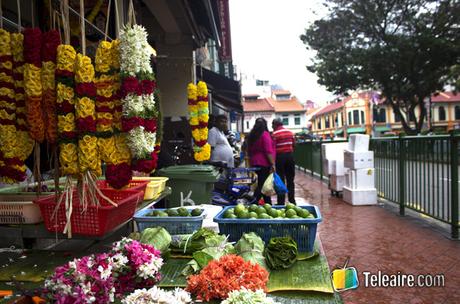 5 recomendaciones para disfrutar de Singapur 5 recomendaciones para disfrutar de Singapur 3 copia