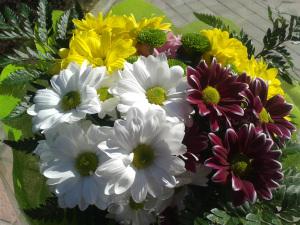 Pequeñas cosas muy grandes flores