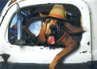 ¿Me lo repite? ¿Me lo repite?