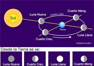 La dieta de las fases lunares es una dieta para bajar de peso DIETA DE LA LUNA LLENA Como perder peso conociendo las fases de la Luna