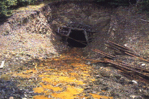 Volver todos los días Volver todos los días