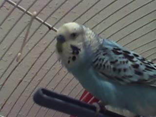 Y TE FUISTE... Y TE FUISTE...