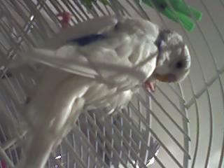 Y TE FUISTE... Y TE FUISTE...