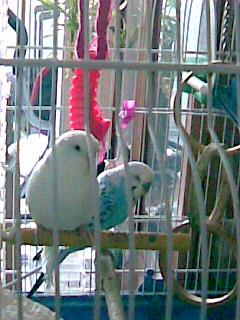 Y TE FUISTE... Y TE FUISTE...