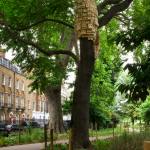 Ciudades Organicas de Vida Silvestre en Londres
