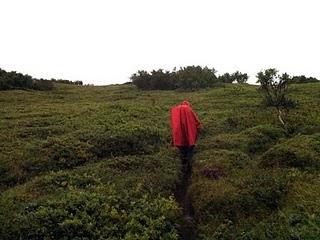 17 de agosto. Akureyri, Húsavík, Parque Jökulsárgljúfur,  cañón Ásbyrgi, Vesturdalur