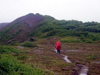 17 de agosto. Akureyri, Húsavík, Parque Jökulsárgljúfur,  cañón Ásbyrgi, Vesturdalur