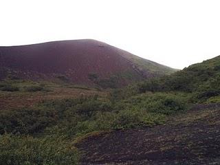 17 de agosto. Akureyri, Húsavík, Parque Jökulsárgljúfur,  cañón Ásbyrgi, Vesturdalur