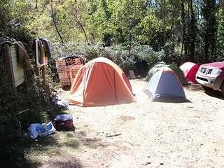 Desalojados 25 rumanos por acampada ilegal, acumulación de basuras, realizar fuego en el monte y recoger indiscriminadamente setas.