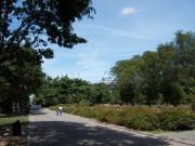 La Stark Expo y el Flushing Meadows-Corona Park imagebam.com