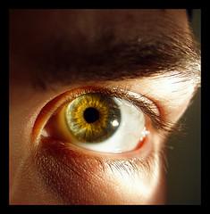 Sobrevivimos a nuestros ojos Sobrevivimos a nuestros ojos