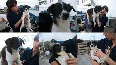 Desesperados por que alguien se fije en ellos.. Desesperados por que alguien se fije en ellos..