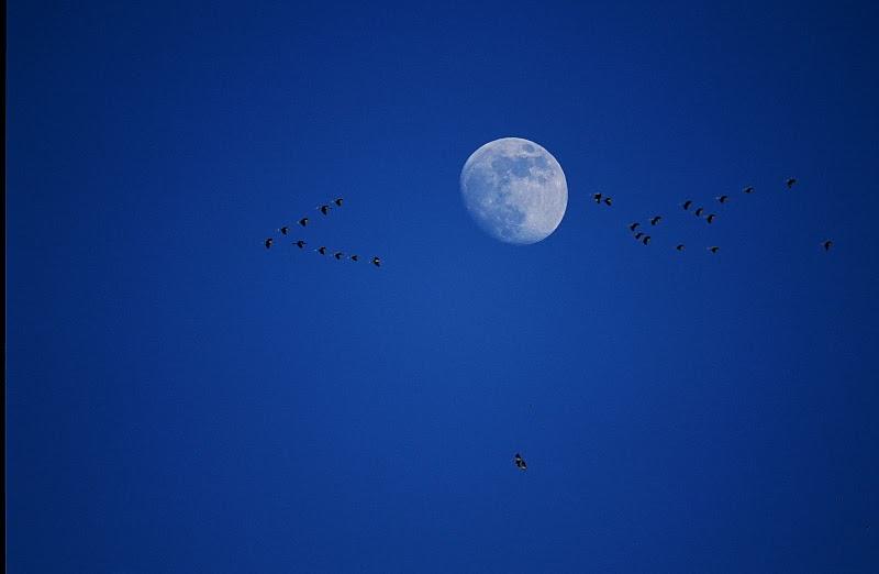 Ruta el Descanso de las Grullas EL vuelo del Buitre Balneario Termas Pallarés uta el Descanso de las Grullas EL vuelo del Buitre Balneario Termas Pallarés