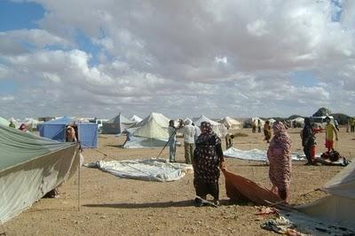Sahara Occidental: la dignidad masacrada