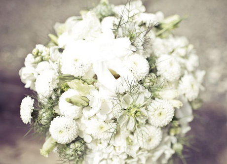 My wedding: La elección de las flores My wedding: La elección de las flores