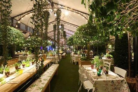 My wedding: La elección de las flores My wedding: La elección de las flores